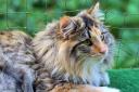2013-09-25-luani1.jpg