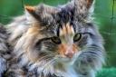 2013-09-25-luani2.jpg