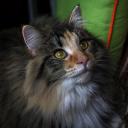 2013-10-18-luani1.jpg