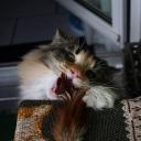 2013-10-18-luani5.jpg