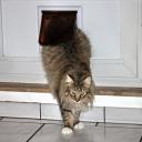 2013-10-22-katzenklappe4.jpg