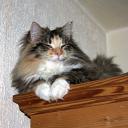 2013-10-23-luani.jpg