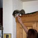 2013-10-23-luani1.jpg