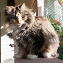 2013-10-31-luani.jpg