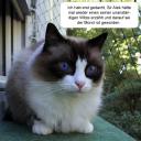 2015-09-28-balu2b.JPG